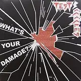  TEST ICICLES / WHAT'S YOUR DAMAGE? REMIX