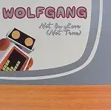 WOLF GANG / NOT IN LOVE (NOT TRUE)Υʥ쥳ɥ㥱å ()