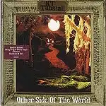 KT TUNSTALL / OTHER SIDE OF THE WORLD