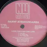 DANNY XTRAVANGANZA / LOVE THE LIFE YOU LIVE