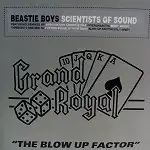 BEASTIE BOYS / SCIENTISTS OF SOUND