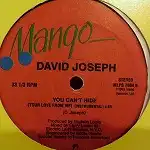 DAVID JOSEPH / YOU CAN'T HIDE