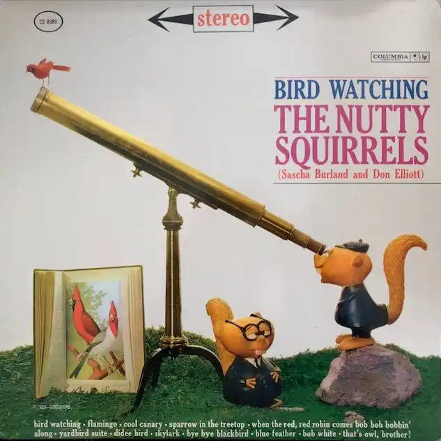 NUTTY SQUIRRELS / BIRD WATCHING