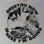 CUT COPY / NEED YOU NOW ARCHITECTURE IN HELSINKI..Υʥ쥳ɥ㥱å ()