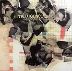 INTELLIGENCE / DEUTERONOMY