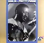 PRETTY PURDIE (BERNARD PURDIE) / SOUL IS...Υʥ쥳ɥ㥱å ()