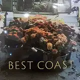 BEST COAST / IN MY ROOM