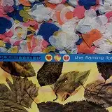 SPEARMINT / THE FLAMING LIPS
