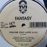 FANTASY / YOU'RE TOO LATE