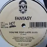 FANTASY / YOU'RE TOO LATEΥʥ쥳ɥ㥱å ()