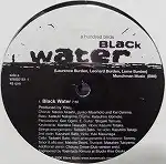 A HUBDRED BIRDS / BLACK WATER