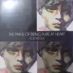 PAINS OF BEING PURE AT HEART / ACID REFLEX