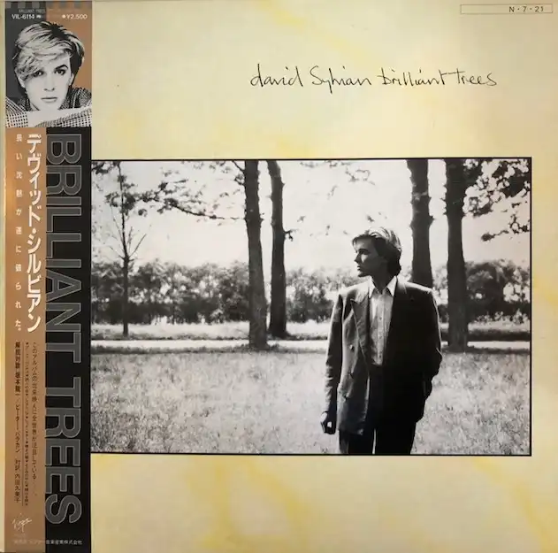 DAVID SYLVIAN / BRILLIANT TREESΥʥ쥳ɥ㥱å ()