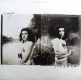 PJ HARVEY / IS THIS DESIRE ?