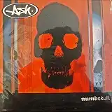 ASH / NUMB SKULL