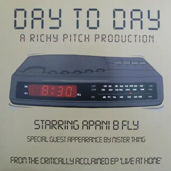 RICHY PITCH / DAY TO DAYΥʥ쥳ɥ㥱å ()