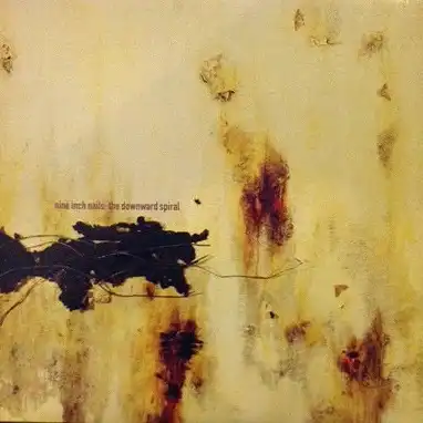 NINE INCH NAILS / THE DOWNWARD SPIRAL