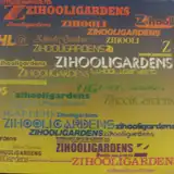 ZIHOOLIGARDENS / SAMEのアナログレコードジャケット