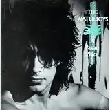 WATERBOYS / A PAGAN PLACEΥʥ쥳ɥ㥱å ()