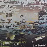 STEVE HILLAGE / LIVE HERALD