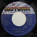 COMMODORES / ANIMAL INSTINCTΥʥ쥳ɥ㥱å ()