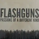 FLASHGUNS / PASSIONS OF A DIFFERENT KINDΥʥ쥳ɥ㥱å ()