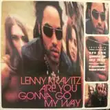 LENNY KRAVITZ / ARE YOU GONNA GO MY WAYΥʥ쥳ɥ㥱å ()