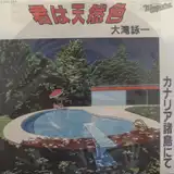 大滝詠一 (EIICHI OHTAKI) / 君は天然色
