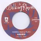 今野英明 & WLIKING RHYTHM / 希望的観測