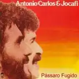 ANTONIO CARLOS & JOCAFI / PASSARO FUGIDOΥʥ쥳ɥ㥱å ()