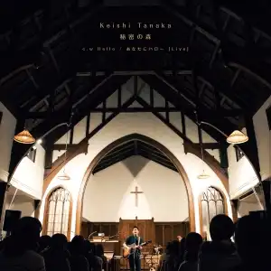 KEISHI TANAKA / 秘密の森