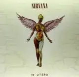 NIRVANA / IN UTERO -20TH ANNIVERSARY EDITION