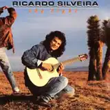 RICARDO SILVEIRA / SKY LIGHT 