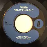PUSHIM / 悲しくてやりきれない