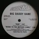 BIG DADDY KANE / RAW
