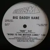 BIG DADDY KANE / RAWΥʥ쥳ɥ㥱å ()