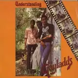 GAYLADDS / UNDERSTANDINGのアナログレコードジャケット (準備中)