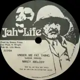 MIKEY MELODY / UNDER ME FAT THING