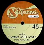 TANGOTERJE (TODD TERJE) /  I WANT YOUR LOVE