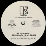 RICHIE HAVENS / GOING BACK TO MY ROOTS 