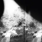 GODSPEED YOU! BLACK EMPEROR / ASUNDER SWEET ANDΥʥ쥳ɥ㥱å ()