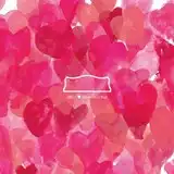 KONCOS / SPECIAL FAVORITE MUSIC / きつねのくに / SUMMER SERVE