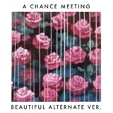 HARVARD / A CHANCE MEETING (BEAUTIFUL ALTERNATE VER.)