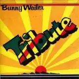 BUNNY WAILER / TRIBUTEΥʥ쥳ɥ㥱å ()