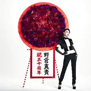 野宮真貴 / 30 GREATEST SELF COVERS & MORE !!!