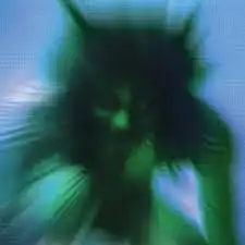 YVES TUMOR / SAFE IN THE HANDS OF LOVE Υʥ쥳ɥ㥱å ()