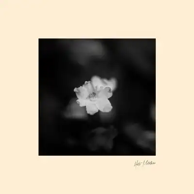 秦基博 / 花
