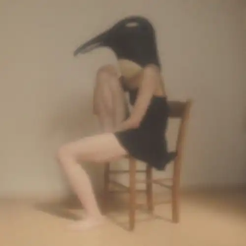 VARIOUS (伊藤ゴロー) / PENGUIN CAFE ORCHESTRA -TRIBUTE-