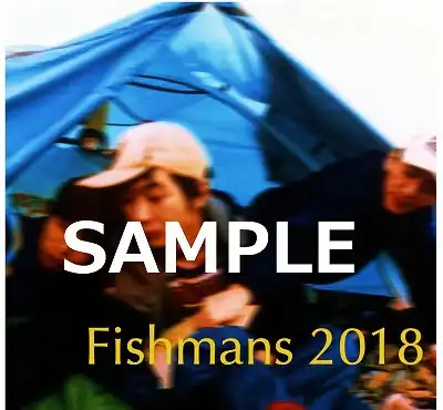 FISHMANS (フィッシュマンズ) / NIGHT CRUSING 2018
