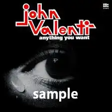 JOHN VALENTI / ANYTHING YOU WANT  WHY DONT WE FALL IN LOVE